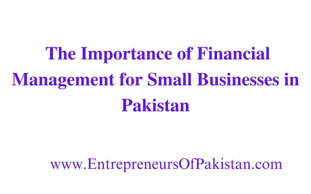 The Importance of Financial Management for Small Businesses in Pakistan