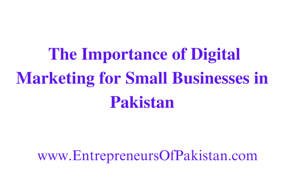 The Importance of Digital Marketing for Small Businesses in Pakistan